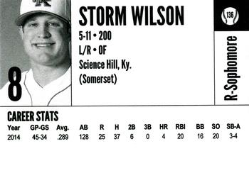 2015 Kentucky Wildcats #136 Storm Wilson Back