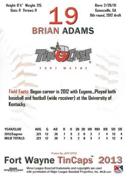 2013 Grandstand Fort Wayne TinCaps #NNO Brian Adams Back
