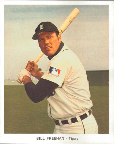 1969 Detroit Tigers Color Picture Pack B #NNO Bill Freehan Front
