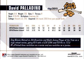 2015 Grandstand Charleston RiverDogs #NNO David Palladino Back