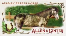2017 Topps Allen & Ginter - Mini Horse in the Race #HR-19 Arabian Berber Horse Front
