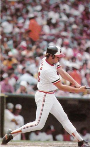 1977 Baltimore Orioles Photo Album #NNO Rich Dauer Front