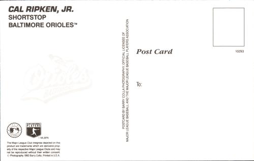 1993 Barry Colla Postcards - Prototypes #10293 Cal Ripken, Jr. Back