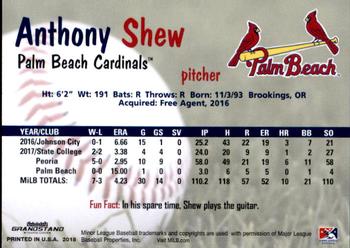2018 Grandstand Palm Beach Cardinals #NNO Anthony Shew Back