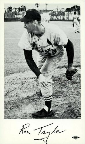 1963 St. Louis Cardinals Photocards #NNO Ron Taylor Front