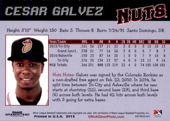 2015 Grandstand Modesto Nuts #NNO Cesar Galvez Back