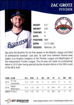 2017 Bridgeport Bluefish #17 Zac Grotz Back