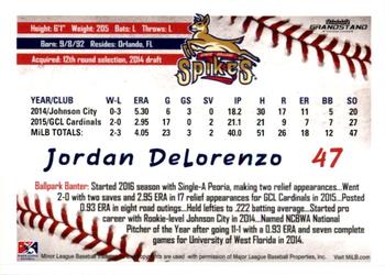 2016 Grandstand State College Spikes #8 Jordan DeLorenzo Back