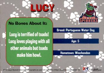 2017 Grandstand Lowell Spinners Wignall Animal Hospital SGA #8 Lucy - Portuguese Water Dog Back