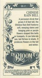 2019 Topps Allen & Ginter - In Bloom #IB-17 Chinese Rain Bell Back