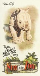 2019 Topps Allen & Ginter - New to the Zoo #NTTZ-4 Rhino Calf Front