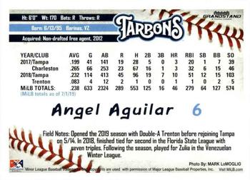 2019 Grandstand Tampa Tarpons #NNO Angel Aguilar Back
