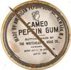 1896-98 Whitehead & Hoag/Cameo Pepsin Gum Pins (PE4) #NNO Holly Souders Back