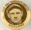 1922 Mrs. Sherlock's Pins (PB5-2) #11 Al Wickland Front