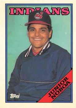 1988 Topps - Collector's Edition (Tiffany) #503 Junior Noboa Front