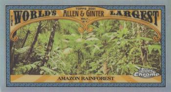 2021 Topps Allen & Ginter Chrome - Mini World’s Largest #MWL-2 Amazon Rainforest Front