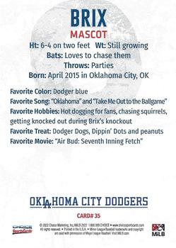 2022 Choice Oklahoma City Dodgers #35 Brix Back
