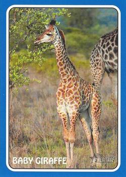 2024 Topps Heritage - 1975 Topps Zoo's Who Stick-Ons Blue #75Z-11 Baby Giraffe Front