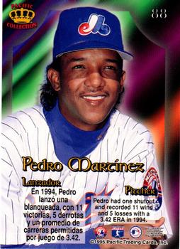 1995 Pacific Prism #88 Pedro Martinez Back