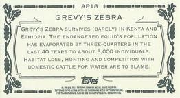 2011 Topps Allen & Ginter - Mini Animals in Peril #AP18 Grevy's Zebra Back