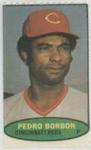1974 Topps Stamps #NNO Pedro Borbon Front