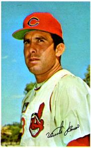 1969-70 MLB/MLBPA Baseball Stars Photostamps #NNO Vicente Romo Front