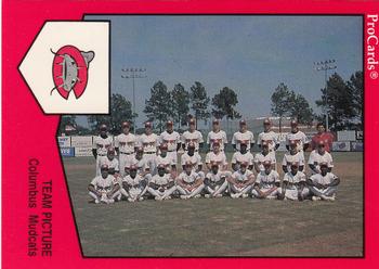 1989 ProCards Minor League Team Sets #149 Columbus Mudcats Team Picture Front