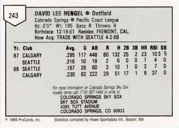 1989 ProCards Minor League Team Sets #243 Dave Hengel Back