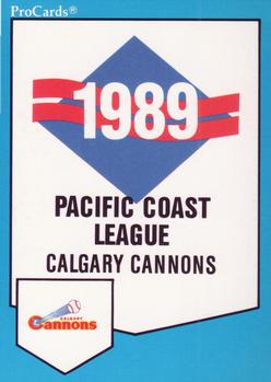 1989 ProCards Minor League Team Sets #522 Checklist Front