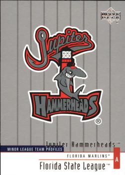 2002 Upper Deck Minor League #325 Jupiter Hammerheads Front