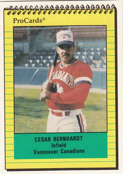 1991 ProCards #1599 Cesar Bernhardt Front