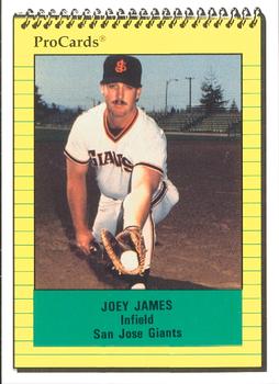 1991 ProCards #18 Joey James Front