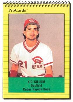 1991 ProCards #2731 K.C. Gillum Front