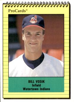 1991 ProCards #3378 Bill Vosik Front