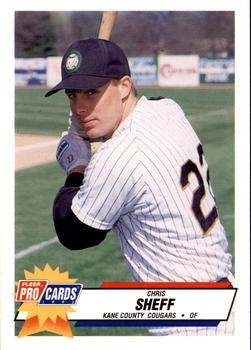 1993 Fleer ProCards Midwest League All-Stars #MDW-10 Chris Sheff Front