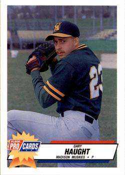 1993 Fleer ProCards Midwest League All-Stars #MDW-13 Gary Haught Front
