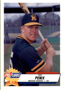 1993 Fleer ProCards Midwest League All-Stars #MDW-14 Troy Penix Front
