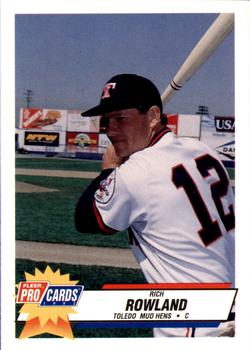 1993 Fleer ProCards #1656 Rich Rowland Front