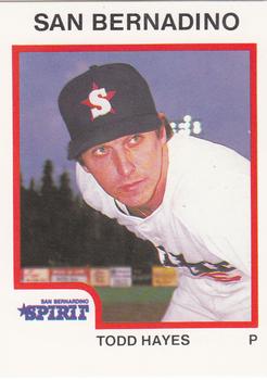 1987 ProCards #2380 Todd Hayes Front