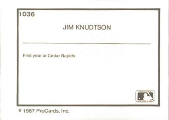 1987 ProCards #1036 Jim Knudtson Back