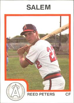 1987 ProCards #2424 Reed Peters Front