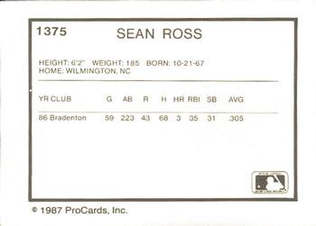 1987 ProCards #1375 Sean Ross Back