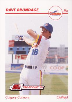 1991 Line Drive AAA #53 Dave Brundage Front