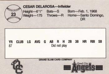 1988 Grand Slam Quad City Angels #23 Cesar Delarosa Back