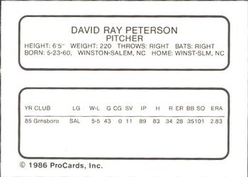 1986 ProCards New Britain Red Sox #NNO Dave Peterson Back