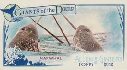 2012 Topps Allen & Ginter - Mini Giants of the Deep #GD-4 Narwhal Front