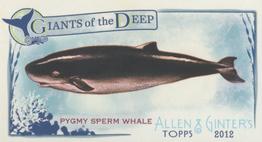2012 Topps Allen & Ginter - Mini Giants of the Deep #GD-11 Pygmy Sperm Whale Front