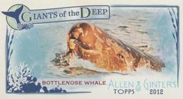 2012 Topps Allen & Ginter - Mini Giants of the Deep #GD-14 Bottlenose Whale Front