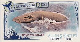 2012 Topps Allen & Ginter - Mini Giants of the Deep #GD-15 Bryde's Whale Front