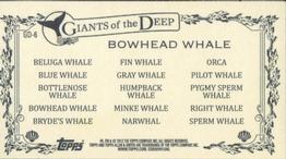 2012 Topps Allen & Ginter - Mini Giants of the Deep #GD-6 Bowhead Whale Back